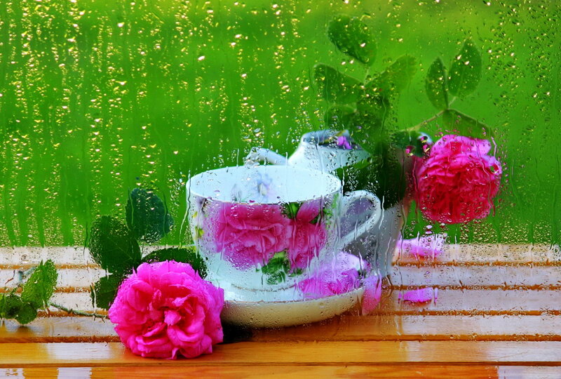 Tea Cup with Roses — Green