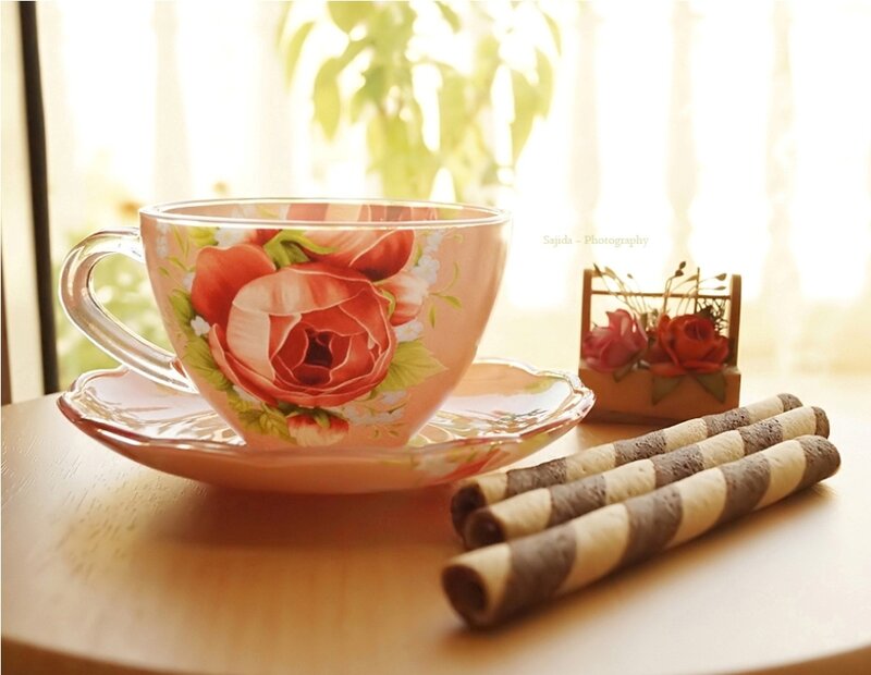 Tea Cup with Roses — Pink, Serene, Morning, Photograph, Saucer