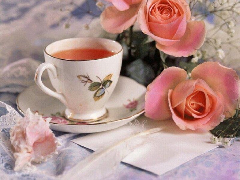 Tea Cup with Roses — Pink, Serene, Photograph, Seashell
