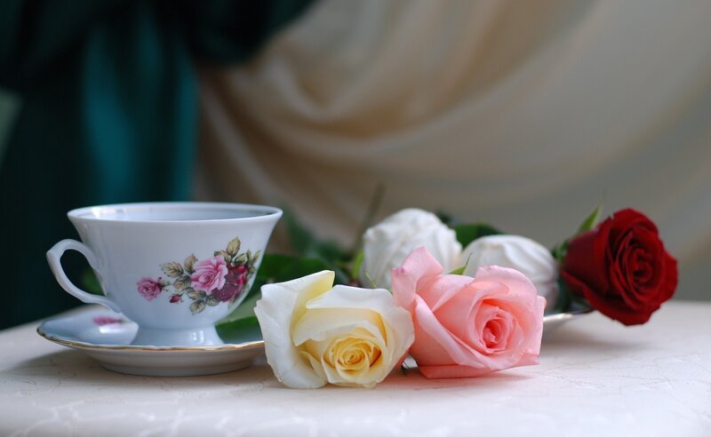 Tea Cup with Roses — White, Serene, Photograph, Teacup
