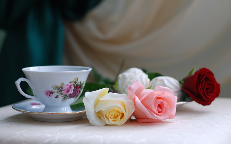 Tea Cup with Roses — White, Serene, Photograph