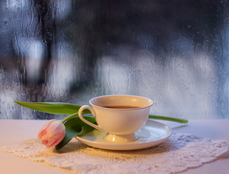 Tea Cup with Tulip