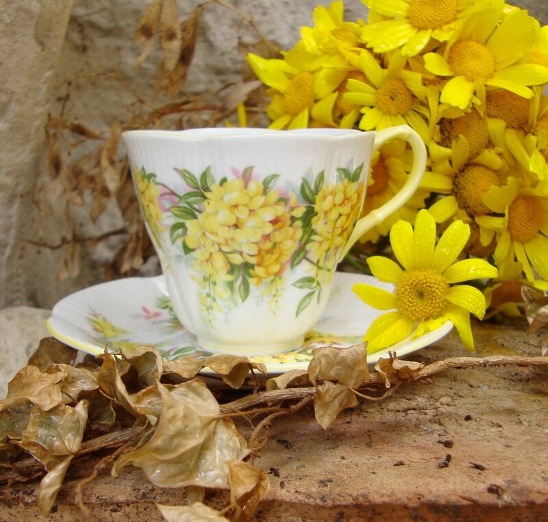 Tea Cup with Yellow Flowers — Serene