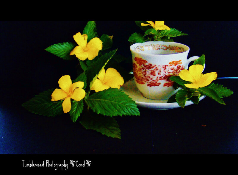 Tea Cup with Yellow Flowers