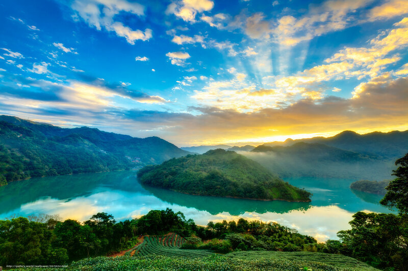 Tea Fields and Lake — Blue, Serene