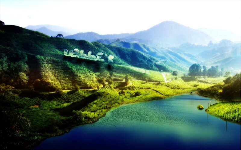 Tea Plantation Valley — Green, Serene