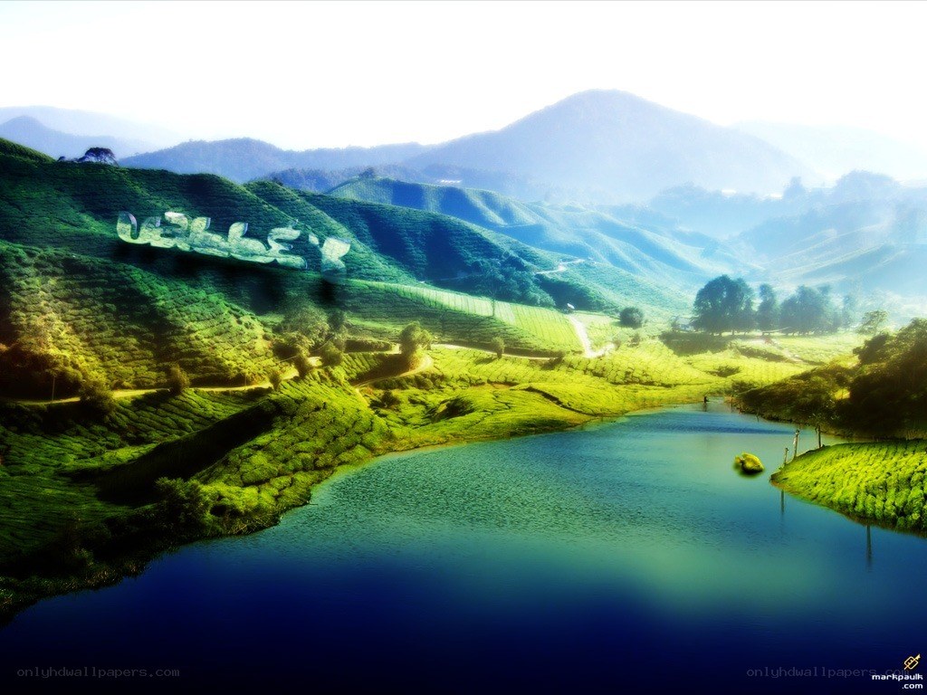 Tea plantations and lake