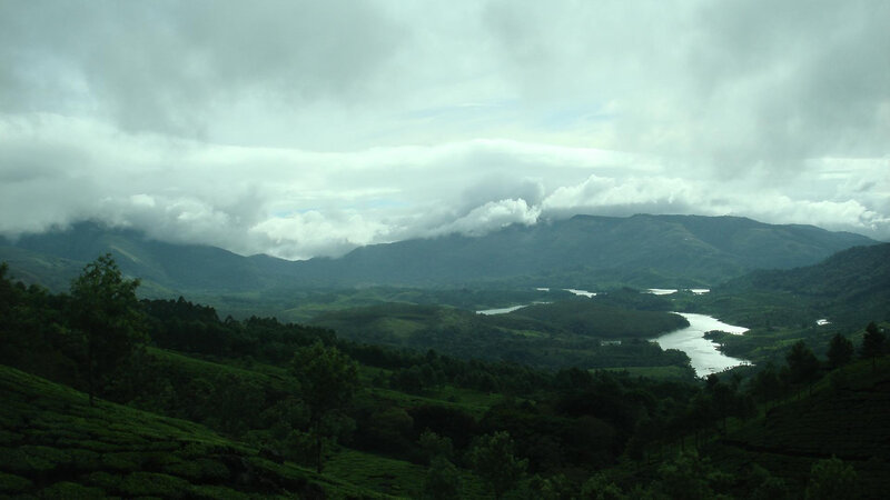 Tea Plantations and River — Green