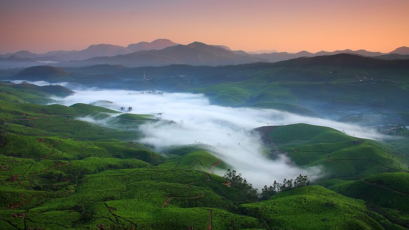 Tea Plantations at Sunrise — Green, Serene, Photograph, Mountains