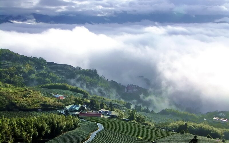 Tea Plantations in Mountains — Green, Serene