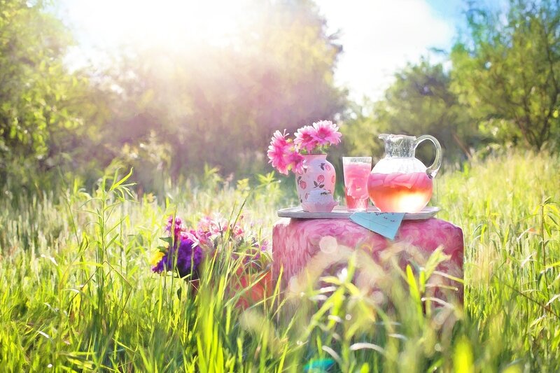 Tea Set in Grass