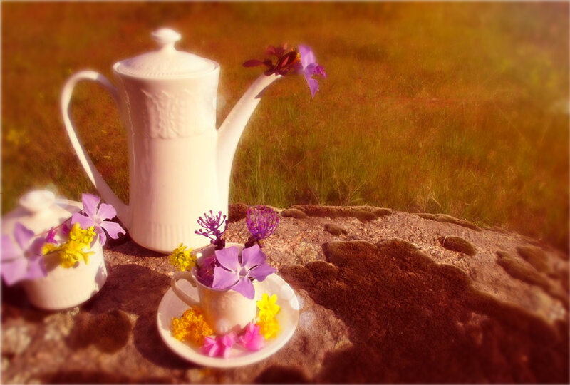 Tea Set on Rock