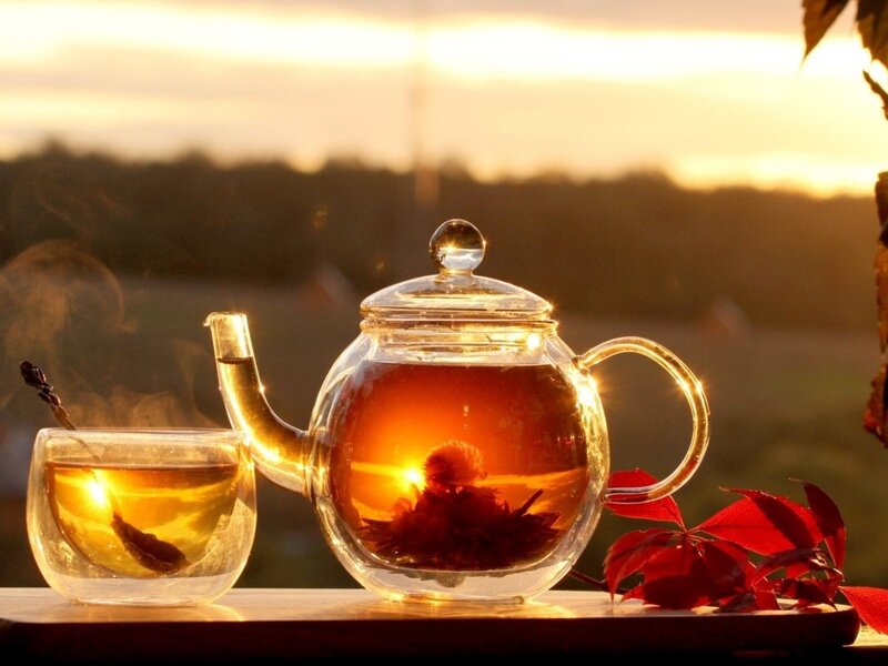 Tea Set on Table — Orange