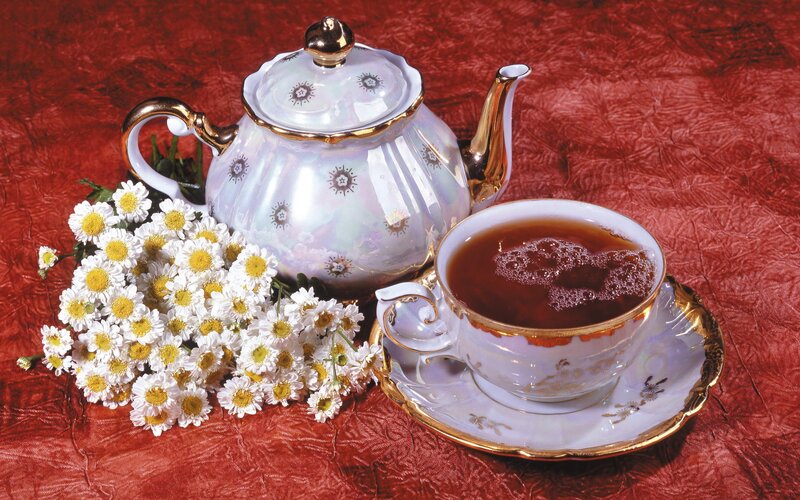Tea Set with Chamomile — Red
