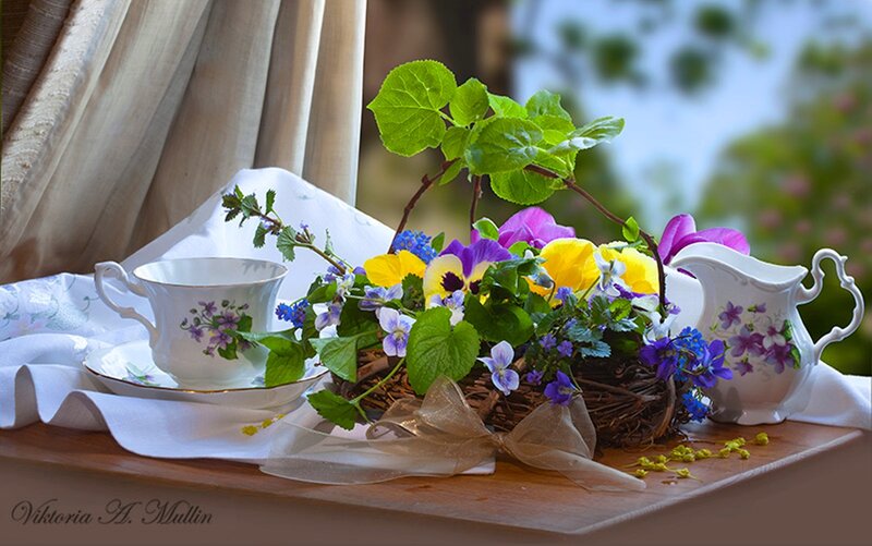 Tea Set with Flowers — White, Serene, Spring, Photograph, Teacup