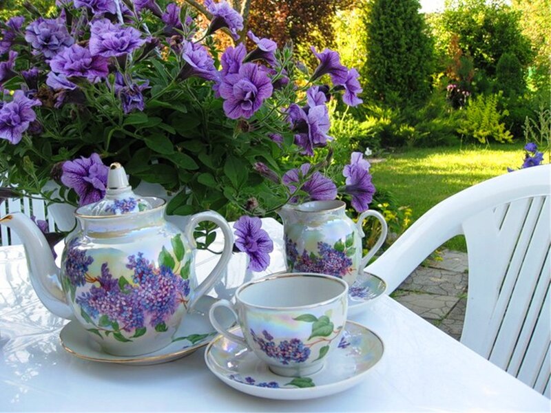 Tea Set with Purple Flowers — Serene, Afternoon