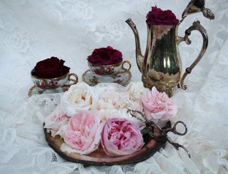 Tea Set with Roses — White, Elegant