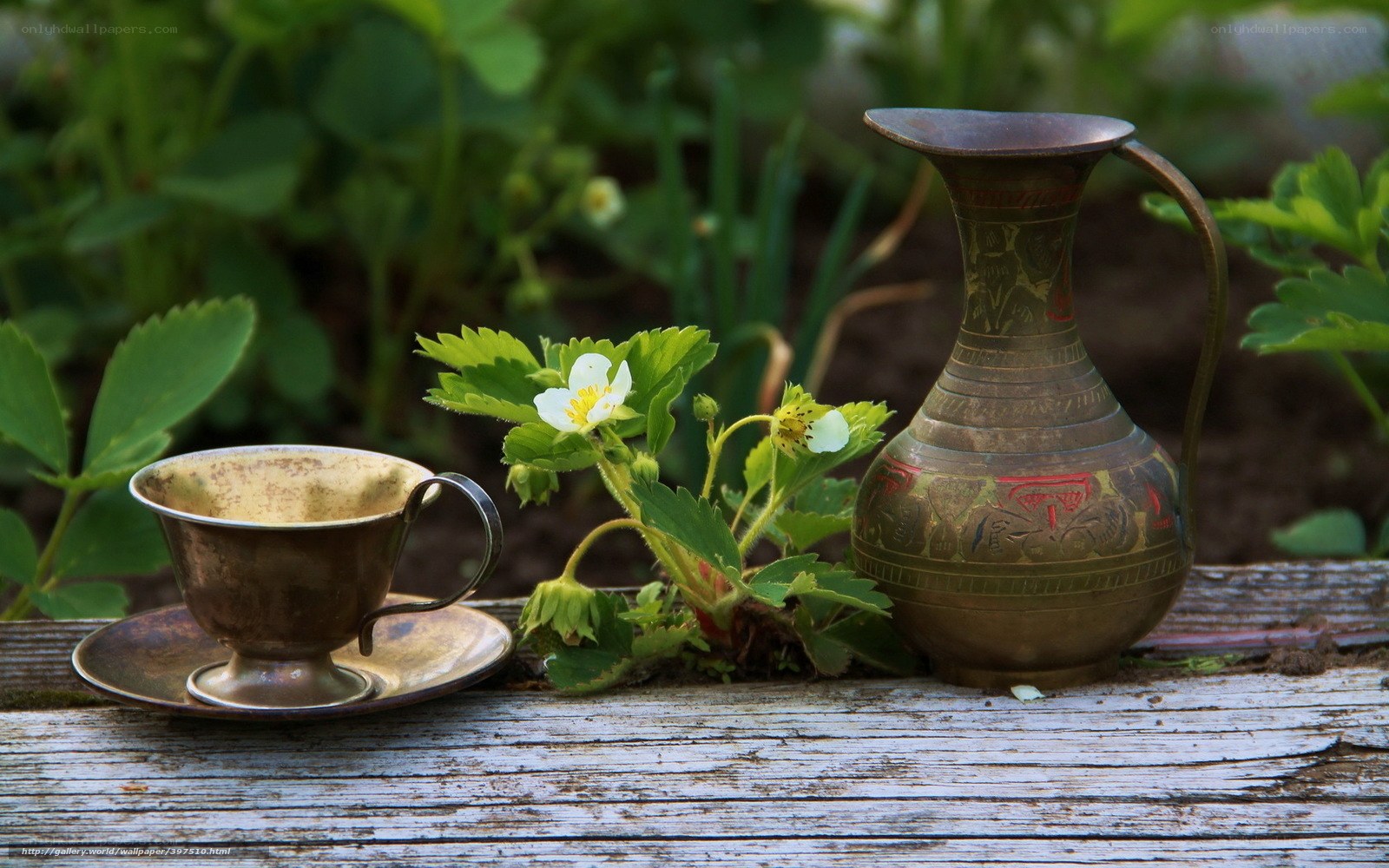 Tea set with strawberry plant