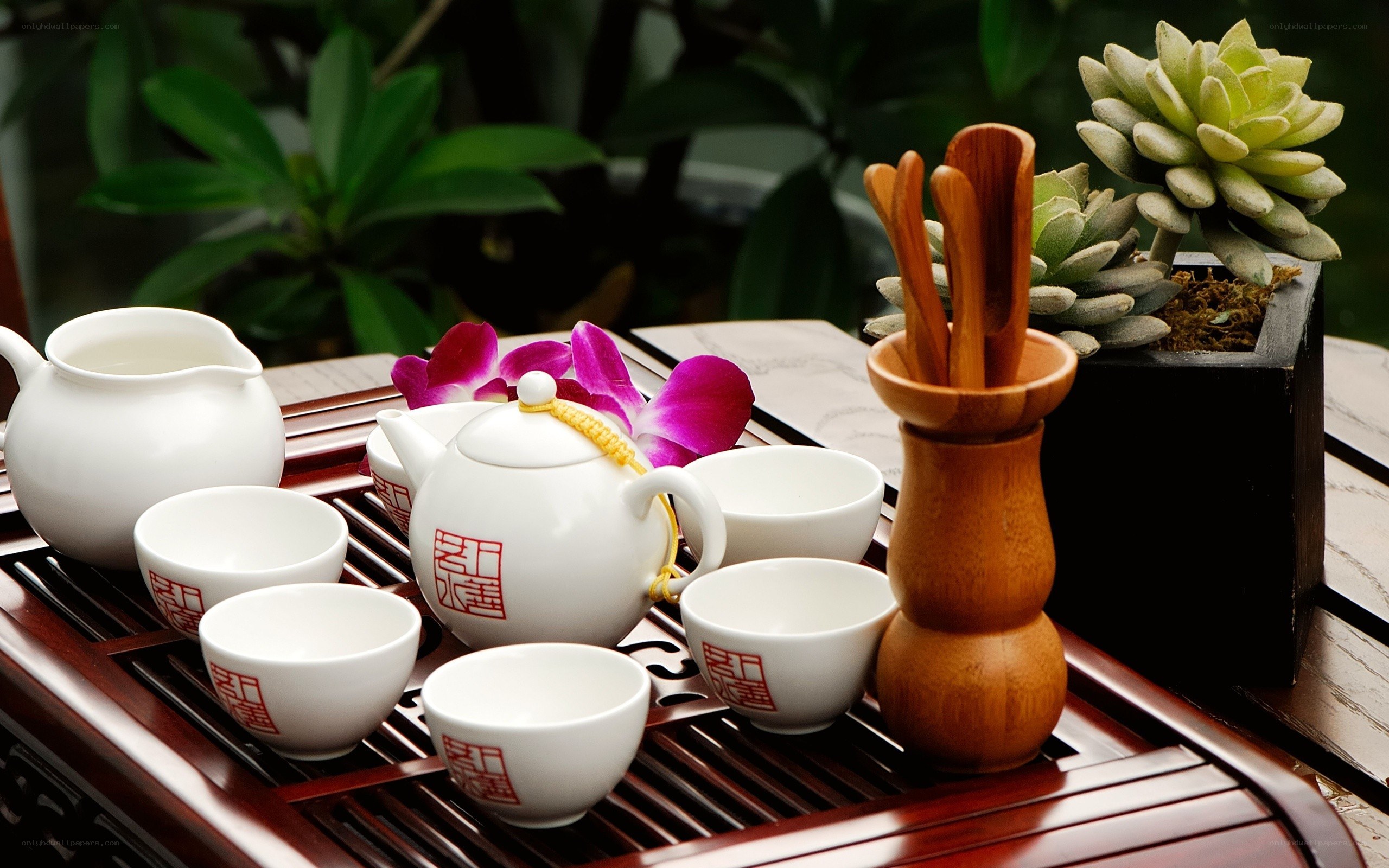 Tea set with succulent