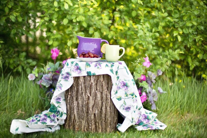 Tea Setup on Tree Stump