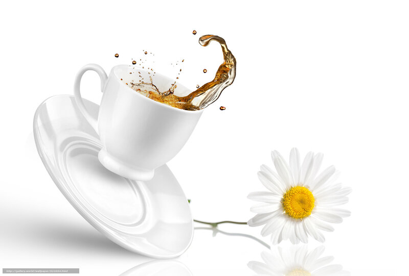 tea splashing with daisy