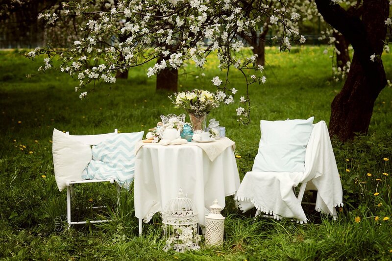 Tea Table under Blossoming Tree