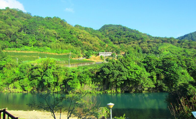 Tea Terraces by Lake — Green