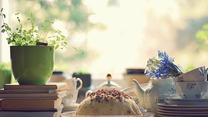 Tea time with cake and plants