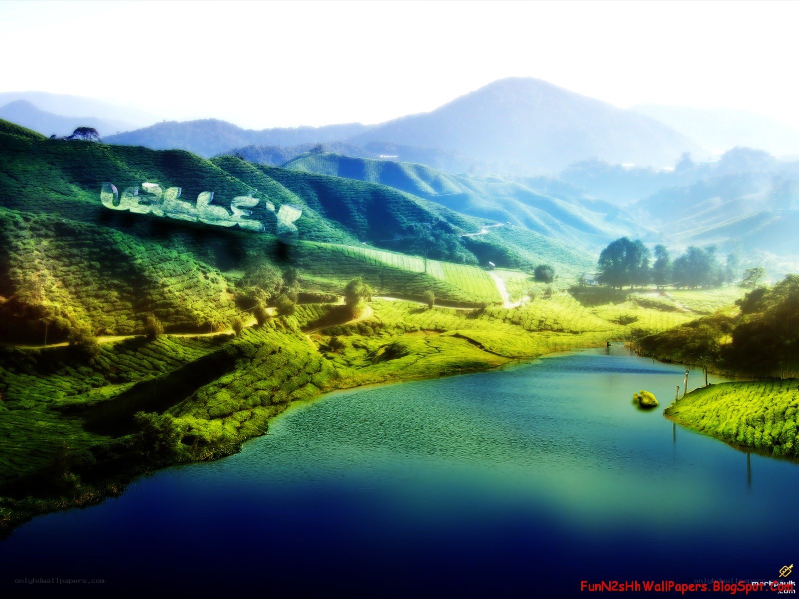Tea valley landscape