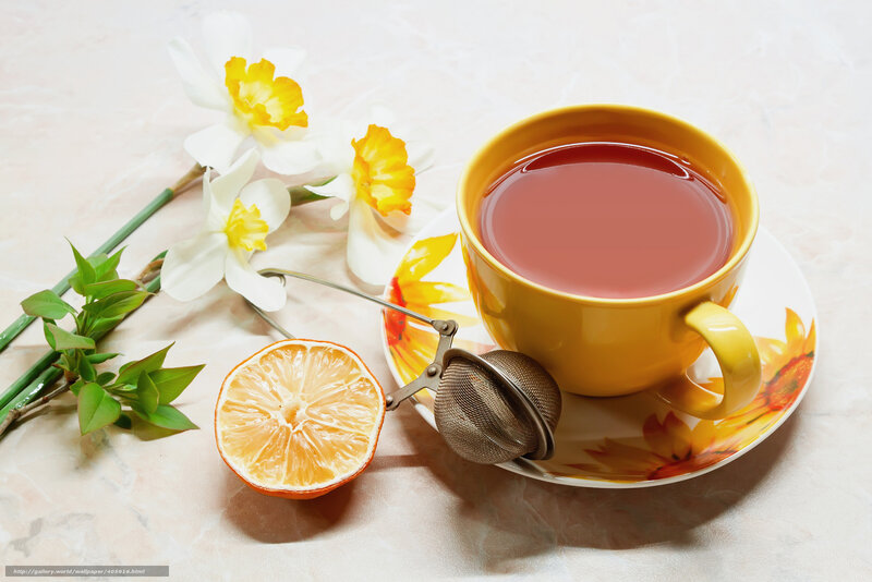 Tea with daffodils and orange