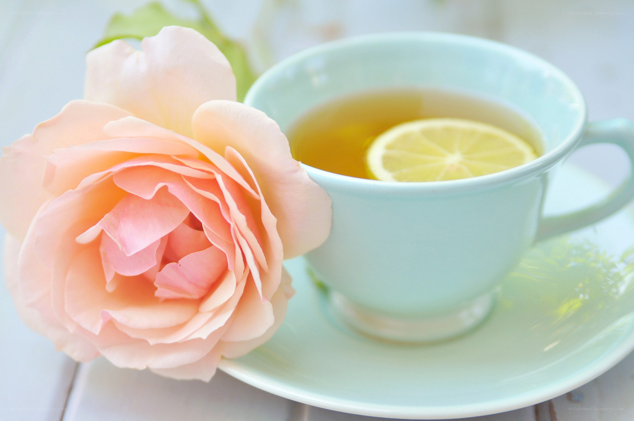 Tea with lemon and rose