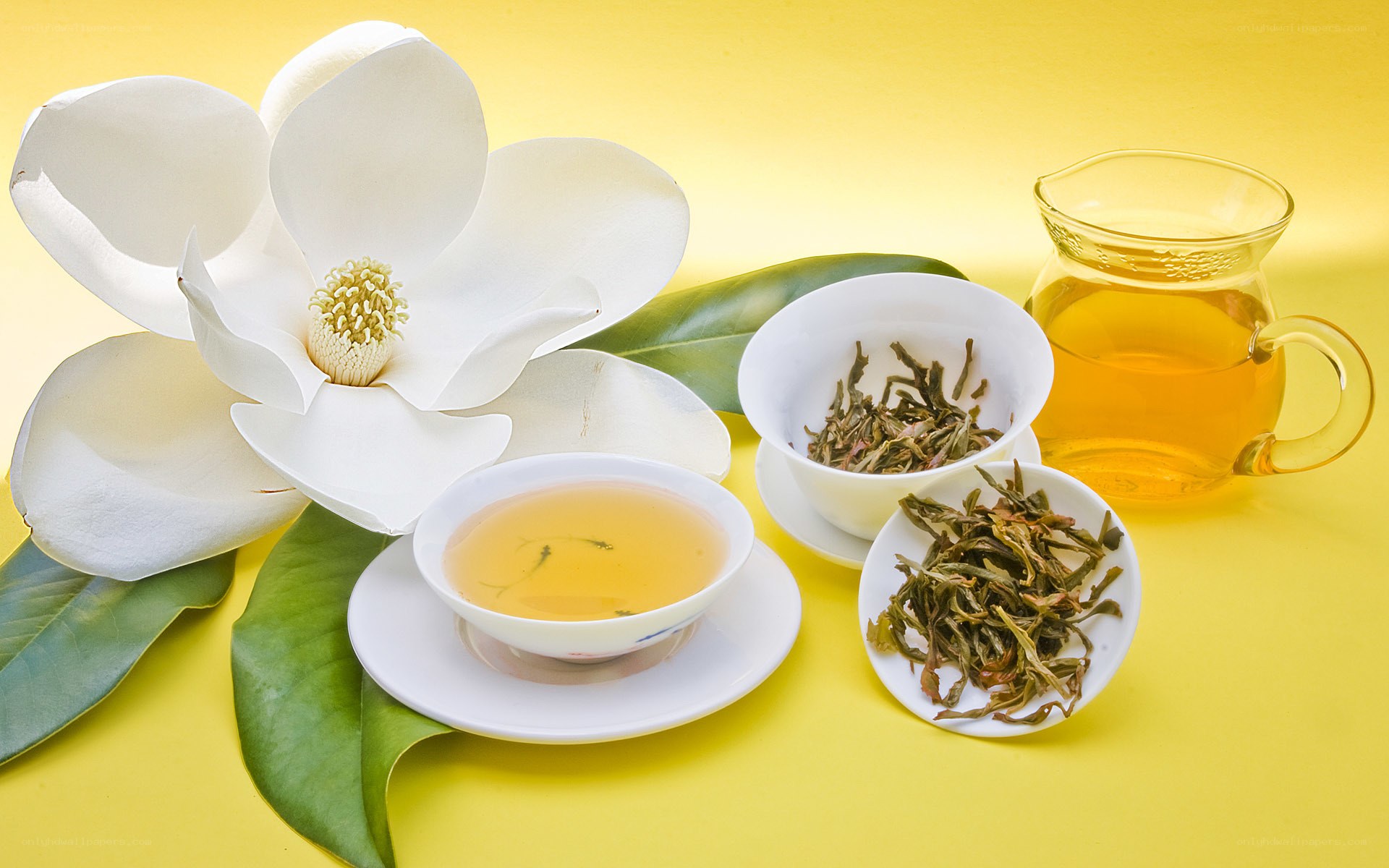 tea with magnolia flower