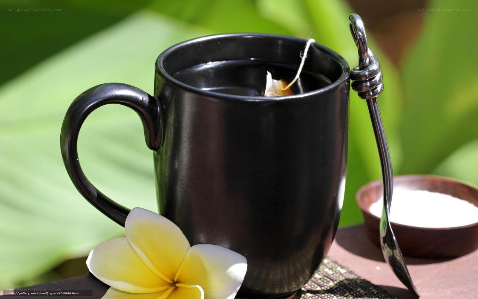 Tea with plumeria flower