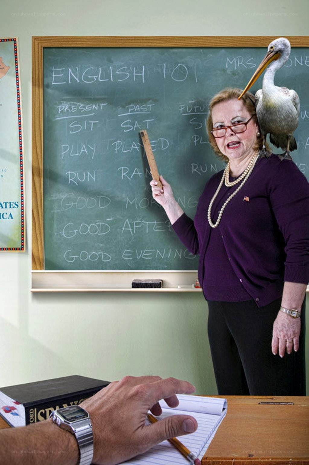 Teacher with pelican on shoulder