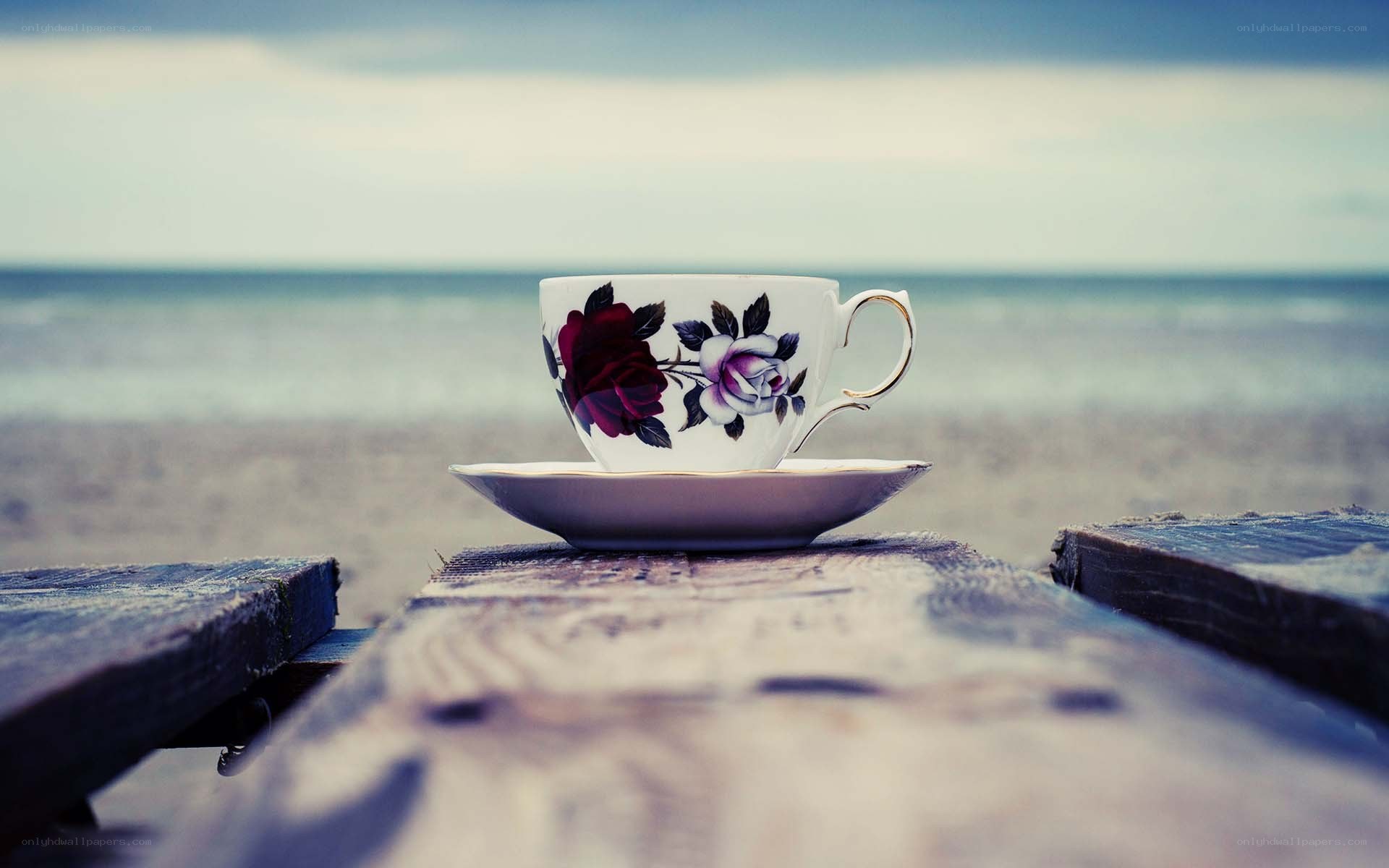 Teacup on a beach bench