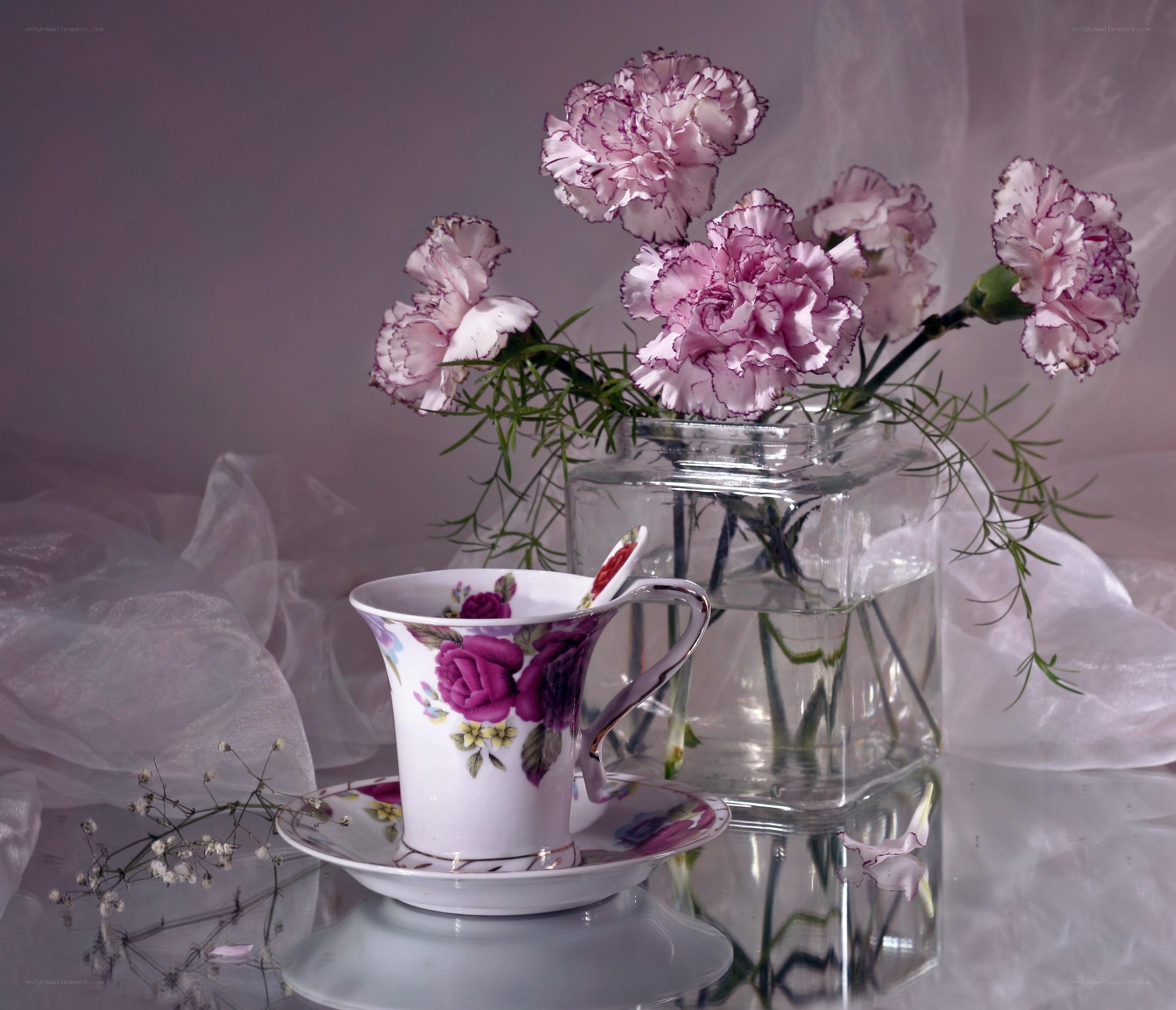 Teacup with carnations