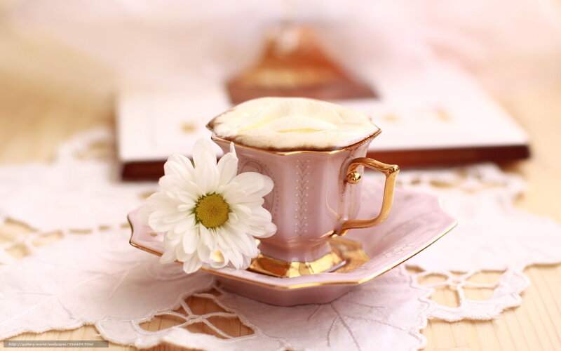 Teacup with daisy flower