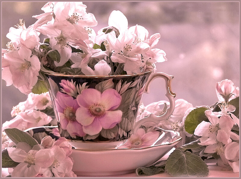 Teacup with Flowers — Pink