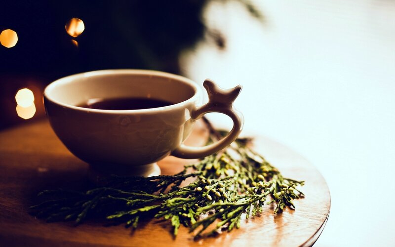 Teacup with greenery