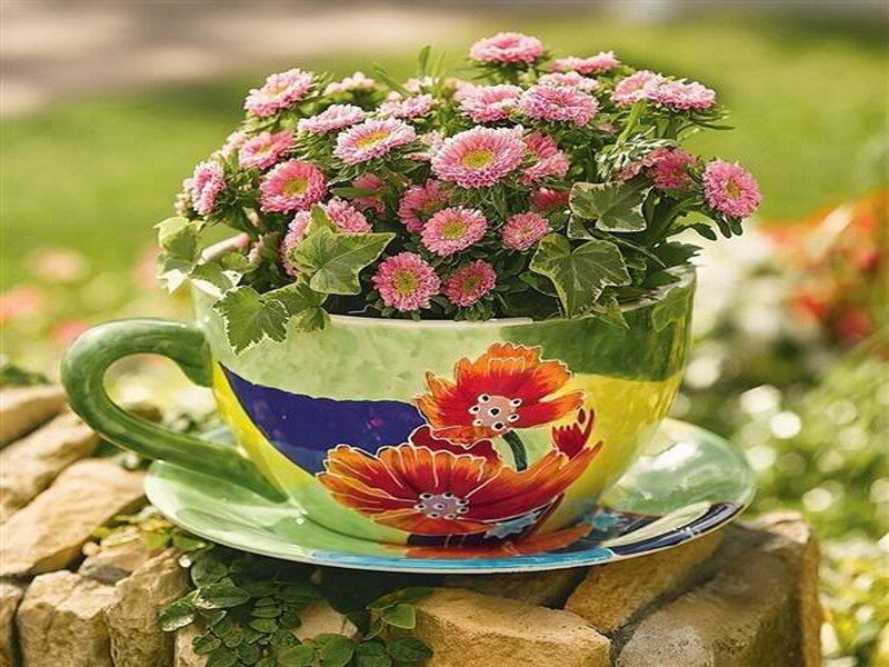 Teacup with pink flowers