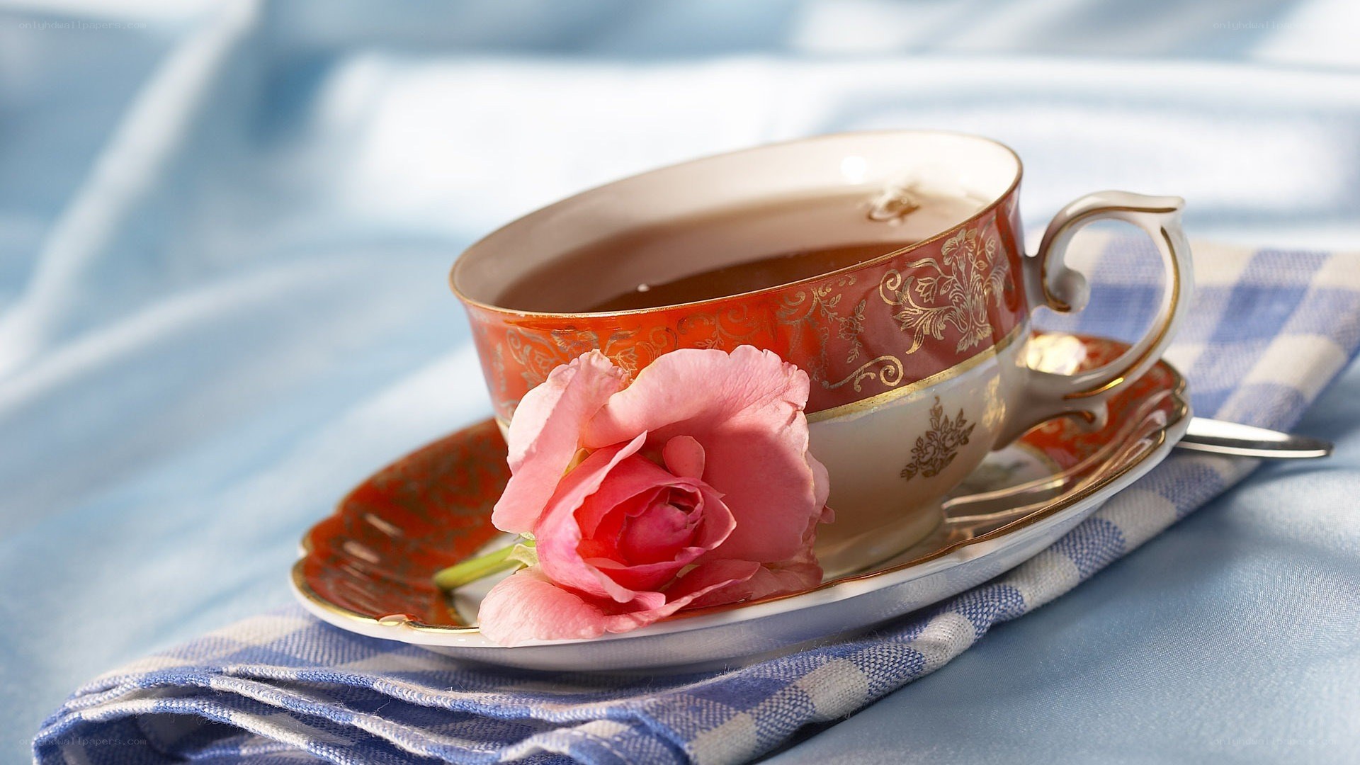 Teacup with pink rose
