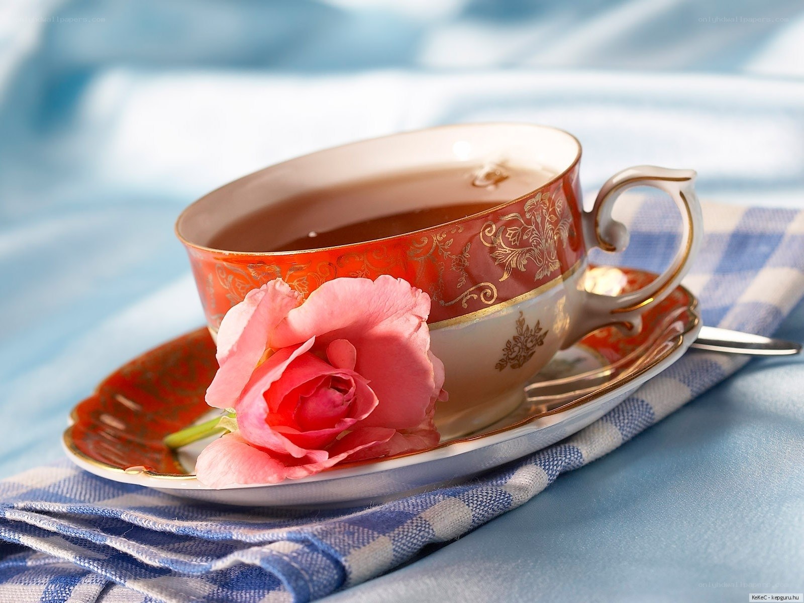 Teacup with pink rose