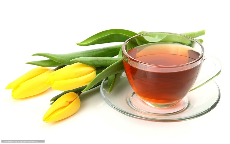Teacup with yellow tulips
