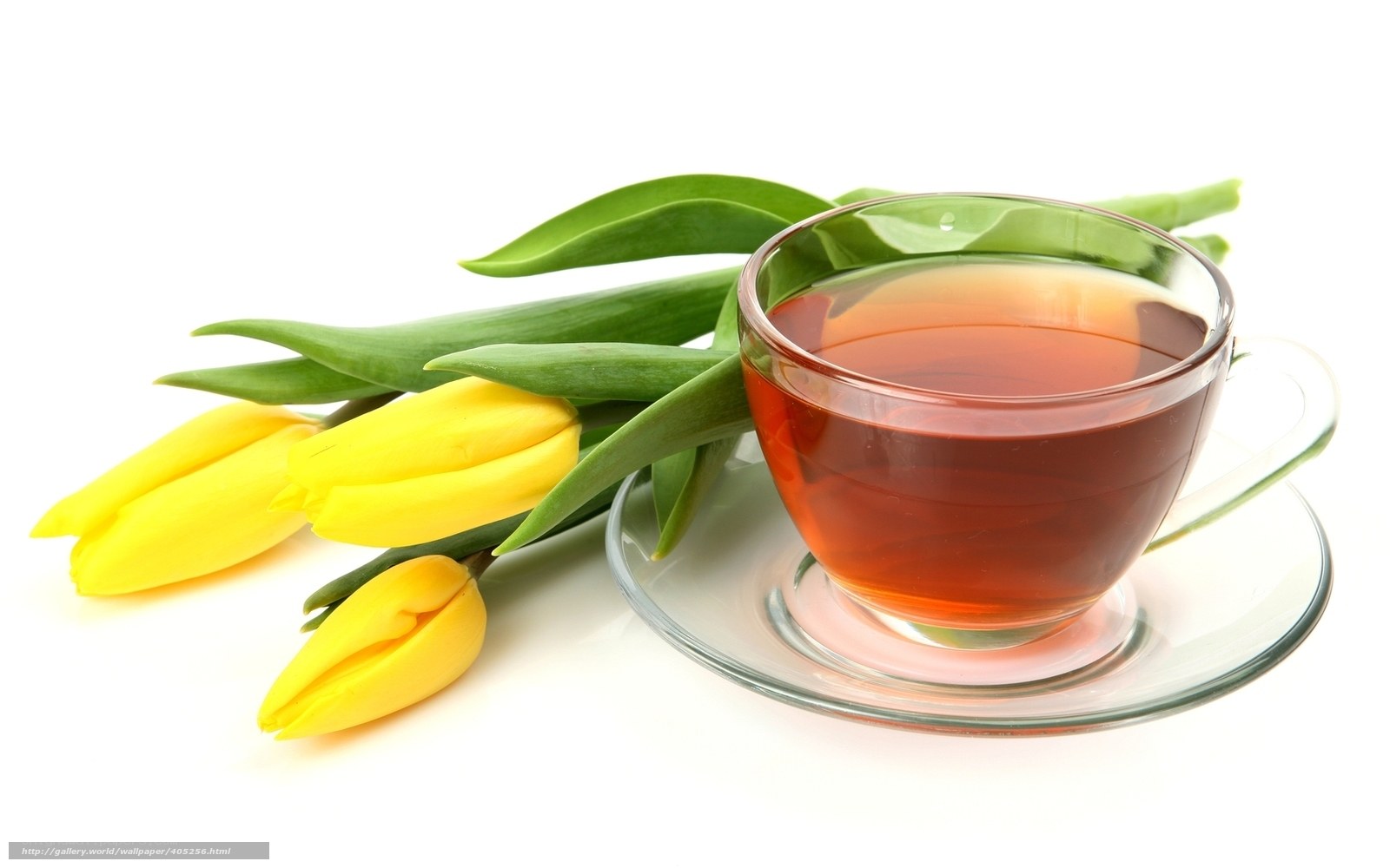 Teacup with yellow tulips