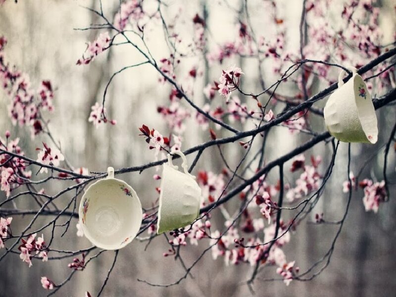 Teacups on Cherry Branches