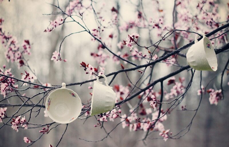Teacups on Tree Branches