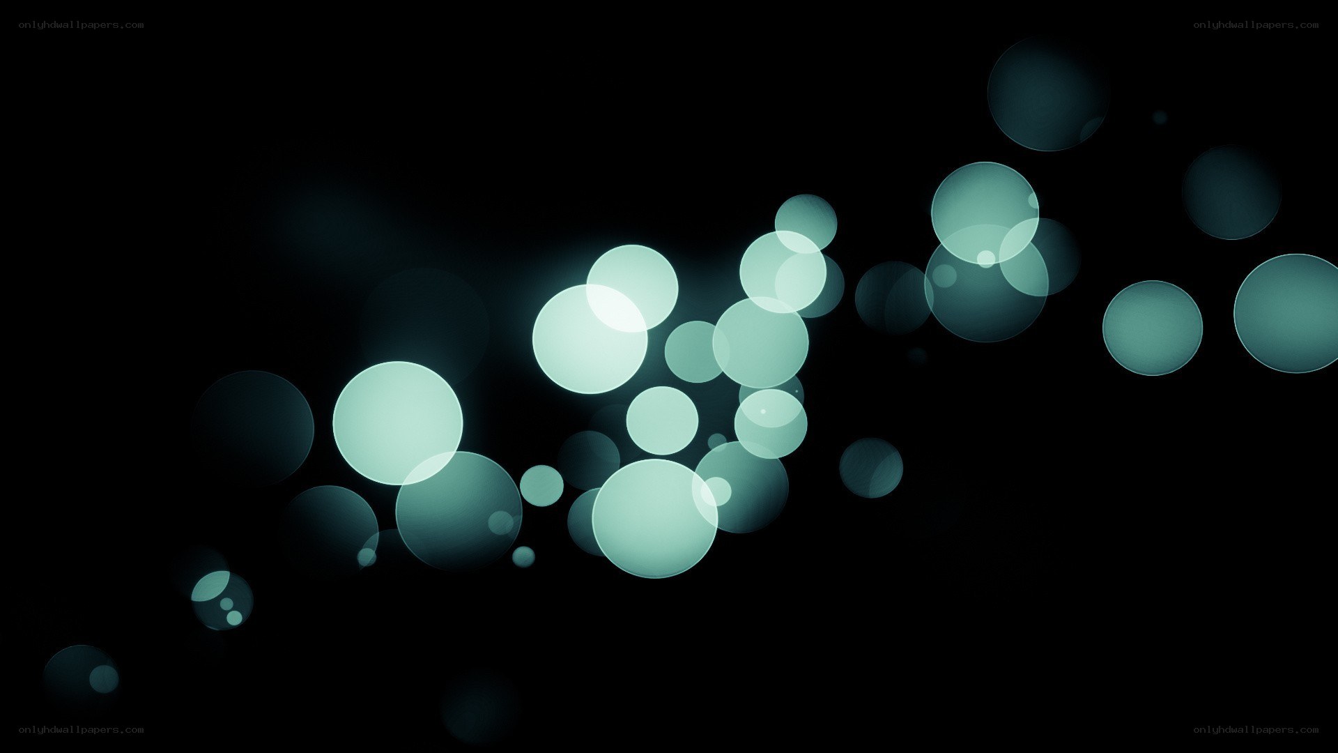 teal bokeh lights on black