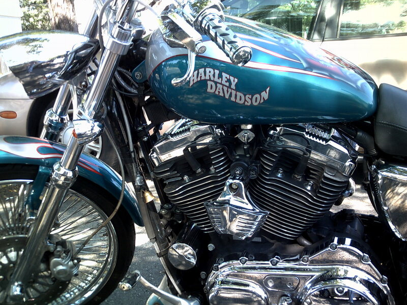 teal harley-davidson motorcycle