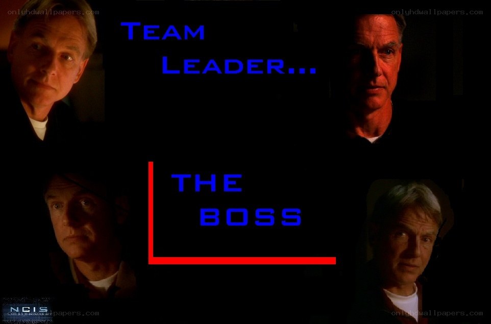 Team Leader The Boss