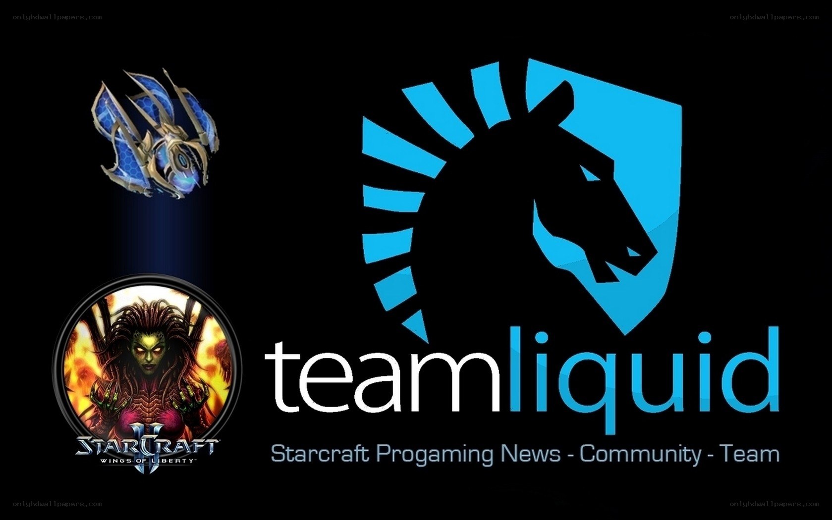 Team Liquid Starcraft branding
